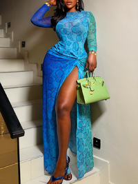 Printed Slit Maxi Dress